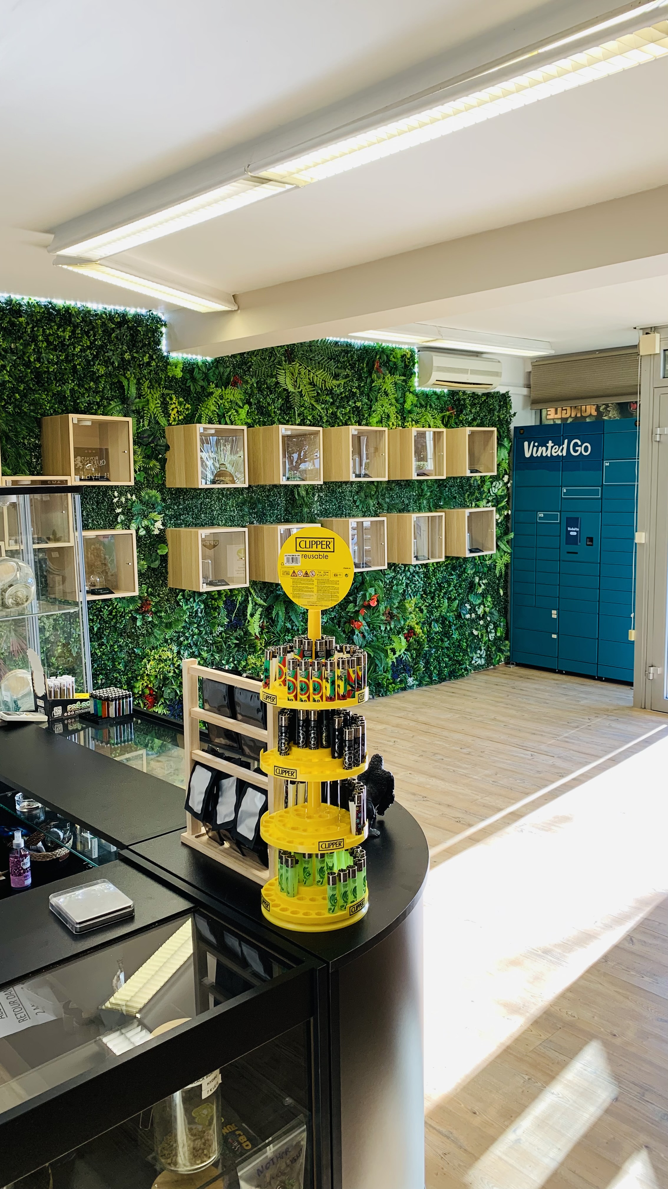 Mission de CBD Jungle au Pontet